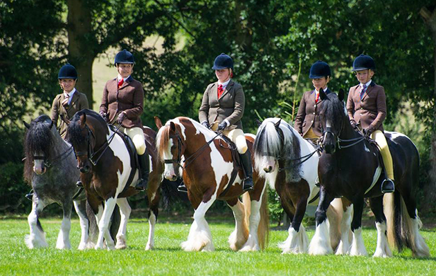 The Team Colosso Skewbald &amp; Piebald Horse and Pony Classes on the first day of the show had cameras snapping