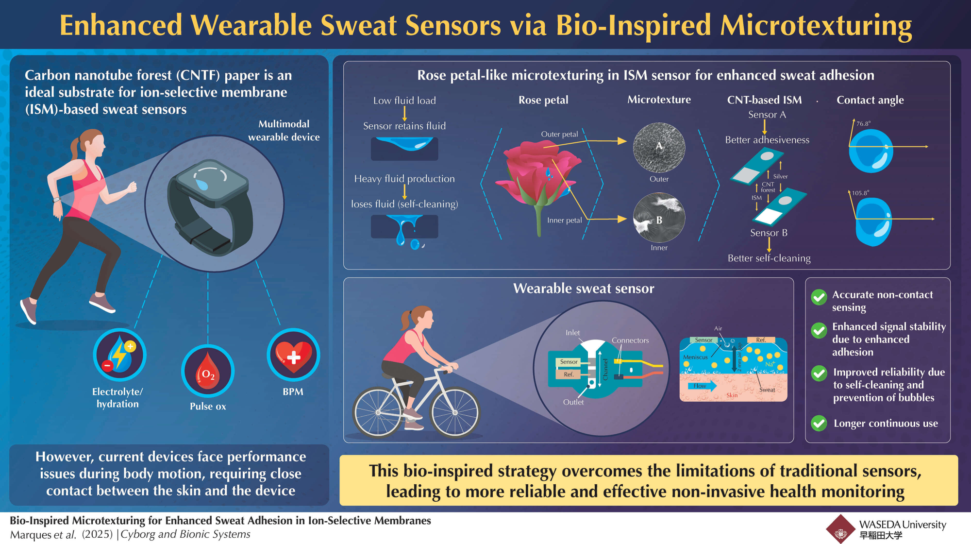 Waseda University&amp;rsquo;s new sensor keeps your skin happy and your data stable