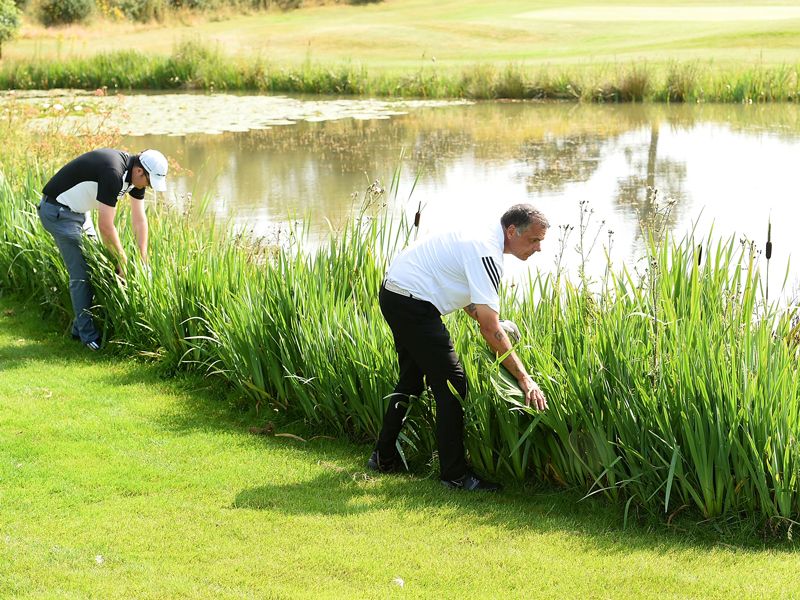 Should You Always Help Search For Your Playing Partner&#039;s Golf Ball?