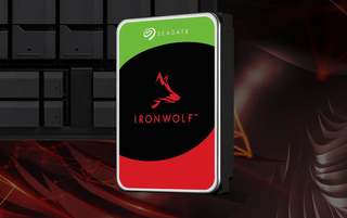 Seagate Ironwolf 12TB NAS HDD