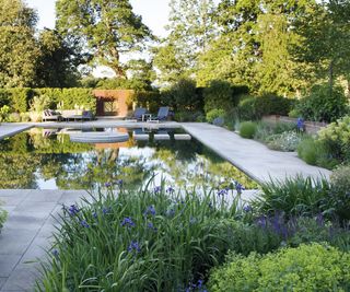 A pool area surrounded by beautiful planting beds with surroundign multi-stemmed trees reflecting in the pool's surface