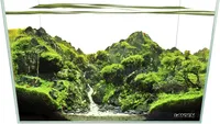 best fish tank