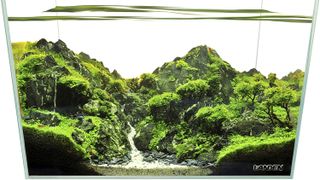 Landen 36P 5.4 Gallon Rimless Low Iron Aquarium fish tank