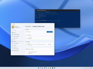 Windows 11 guest account setup
