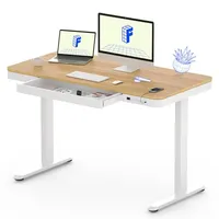 FlexiSpot Comhar Electric Standing Desk With Drawers