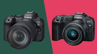 Canon EOS R8 et Canon EOS R6 II côte à côte sur un arrière-plan vert et rose