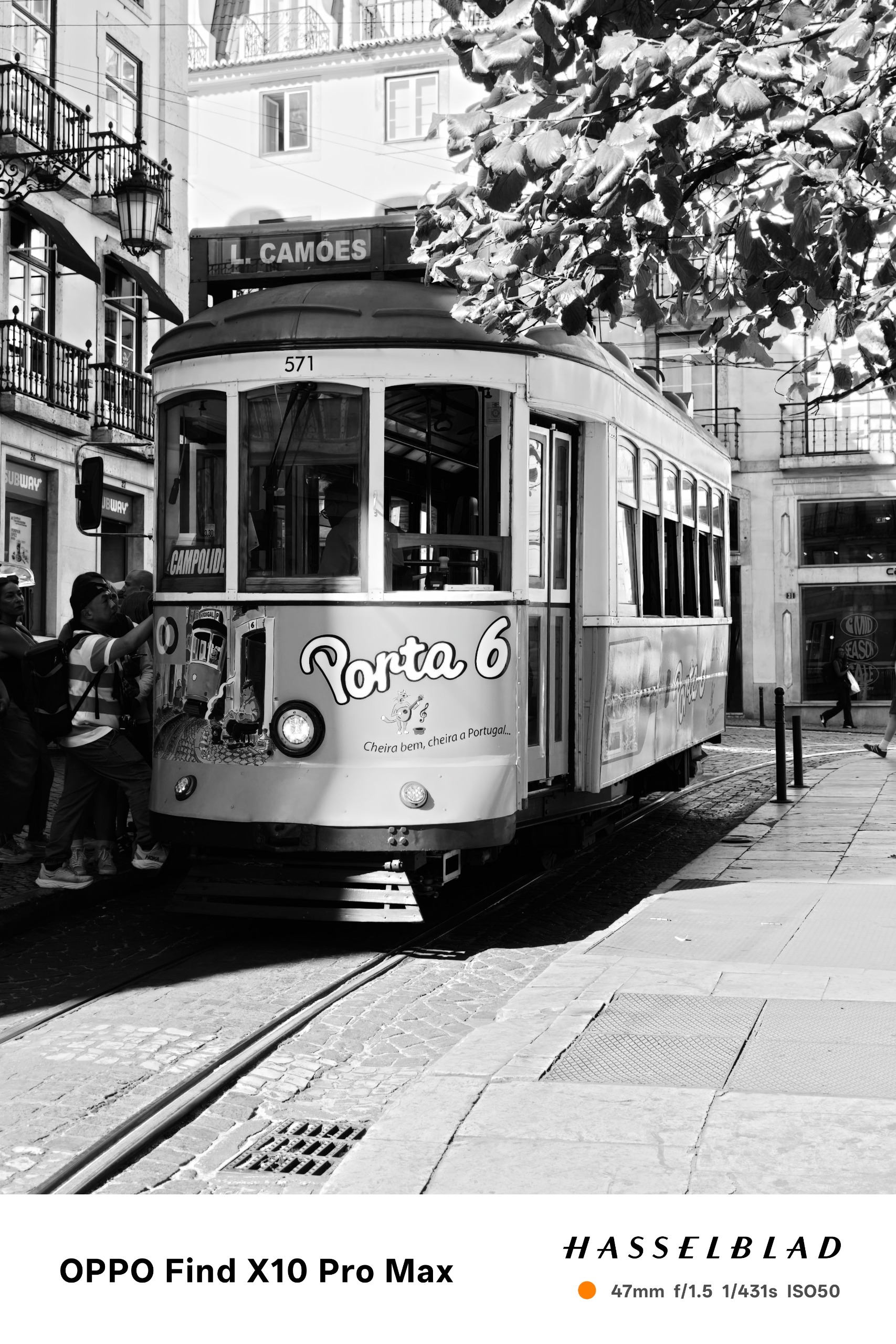 Black-and-white photograph of a Lisbon tram beneath overhanging tree branches.