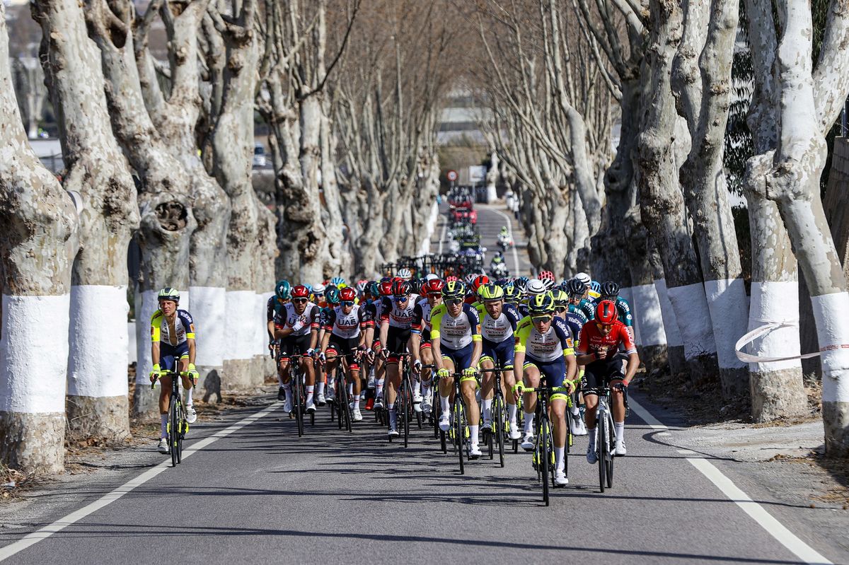 Clasica de Almeria 2022 - 35th Edition - El Ejido - Roquetas de Mar 188,2 km - 13/02/2022 - Peloton - Scenery - photo Luis Angel Gomez/SprintCyclingAgency&Acirc;&copy;2022