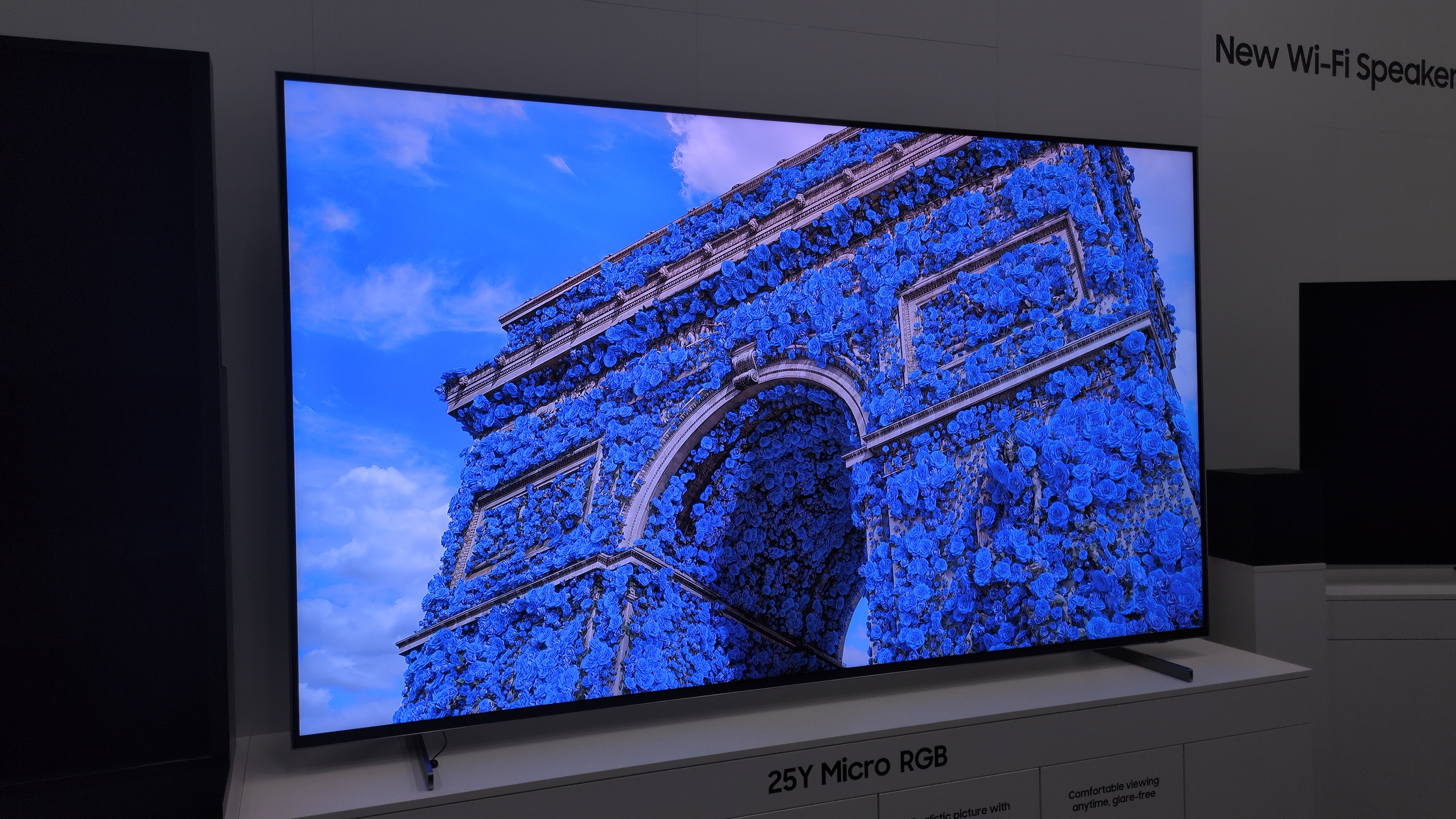 Samsung micro-RGB with blue flowers on screen