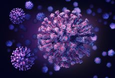 The coronavirus uses spike proteins (seen on its surface here) to invade human cells.