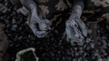 A pair of chalk covered hands hold small stones full of cobalt over a pile of blurry dark stones in the background.