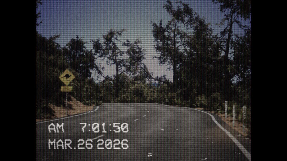Screenshot of the photography simulator game Lushfoil Photography Sim, depicting a camcorder UI over an image of a road
