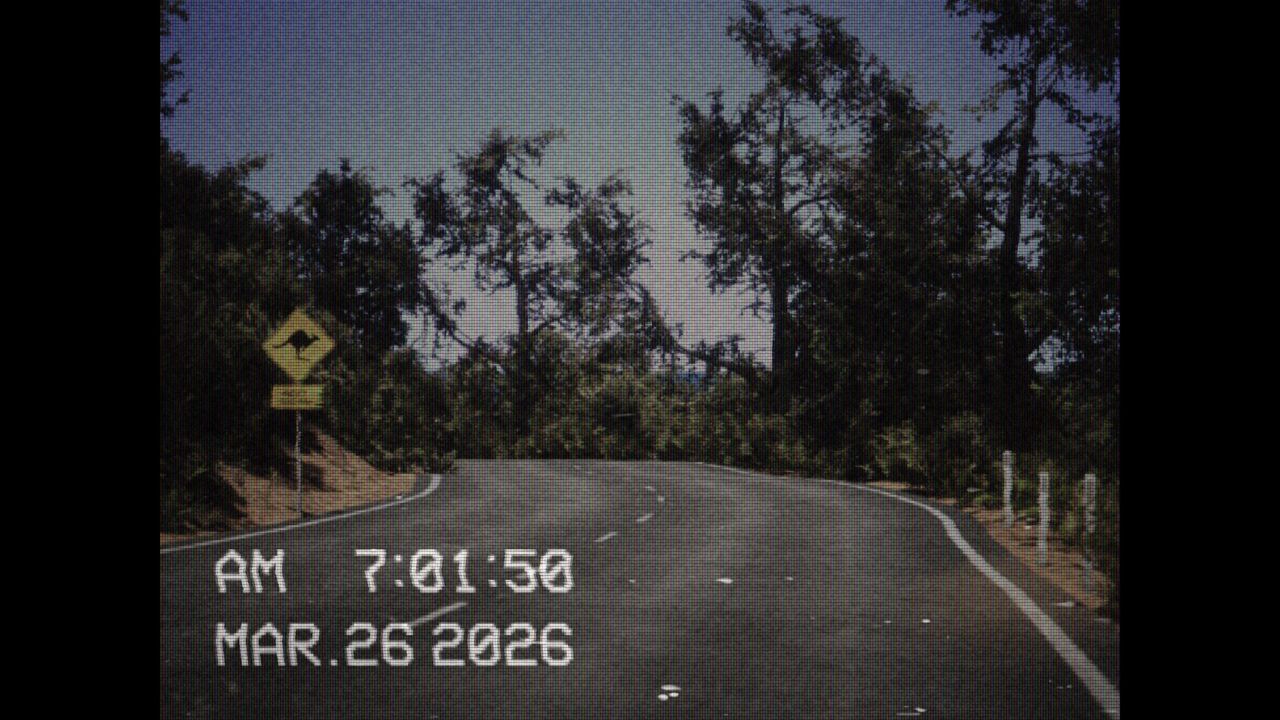 Screenshot of the photography simulator game Lushfoil Photography Sim, depicting a camcorder UI over an image of a road