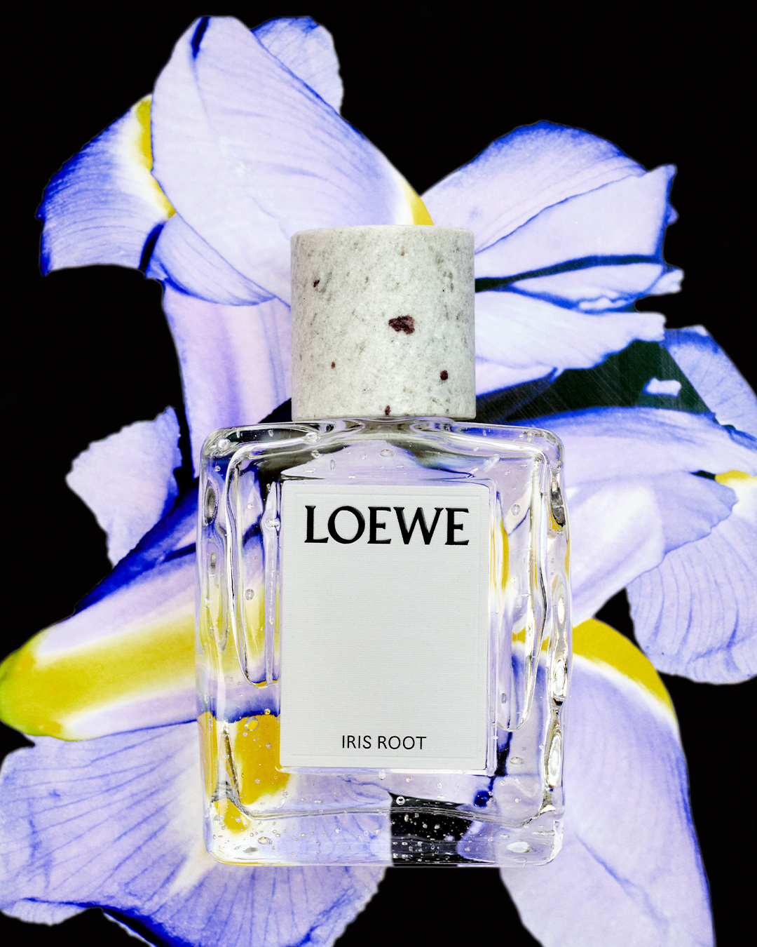 loewe fragrance bottle against a floral background