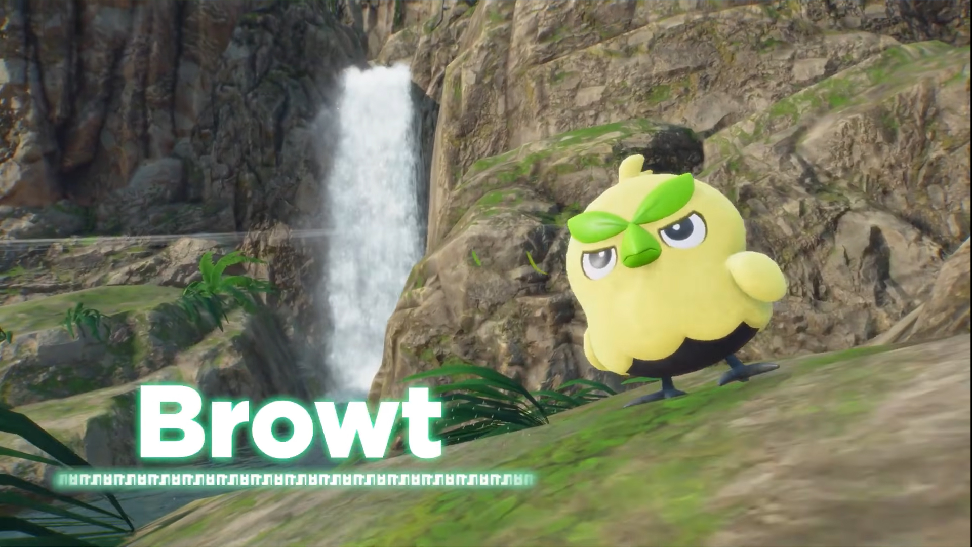 Pokemon Winds and Waves starters