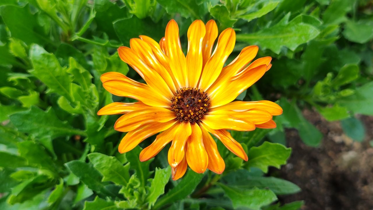 Motorola Edge 30 Ultra review camera sample