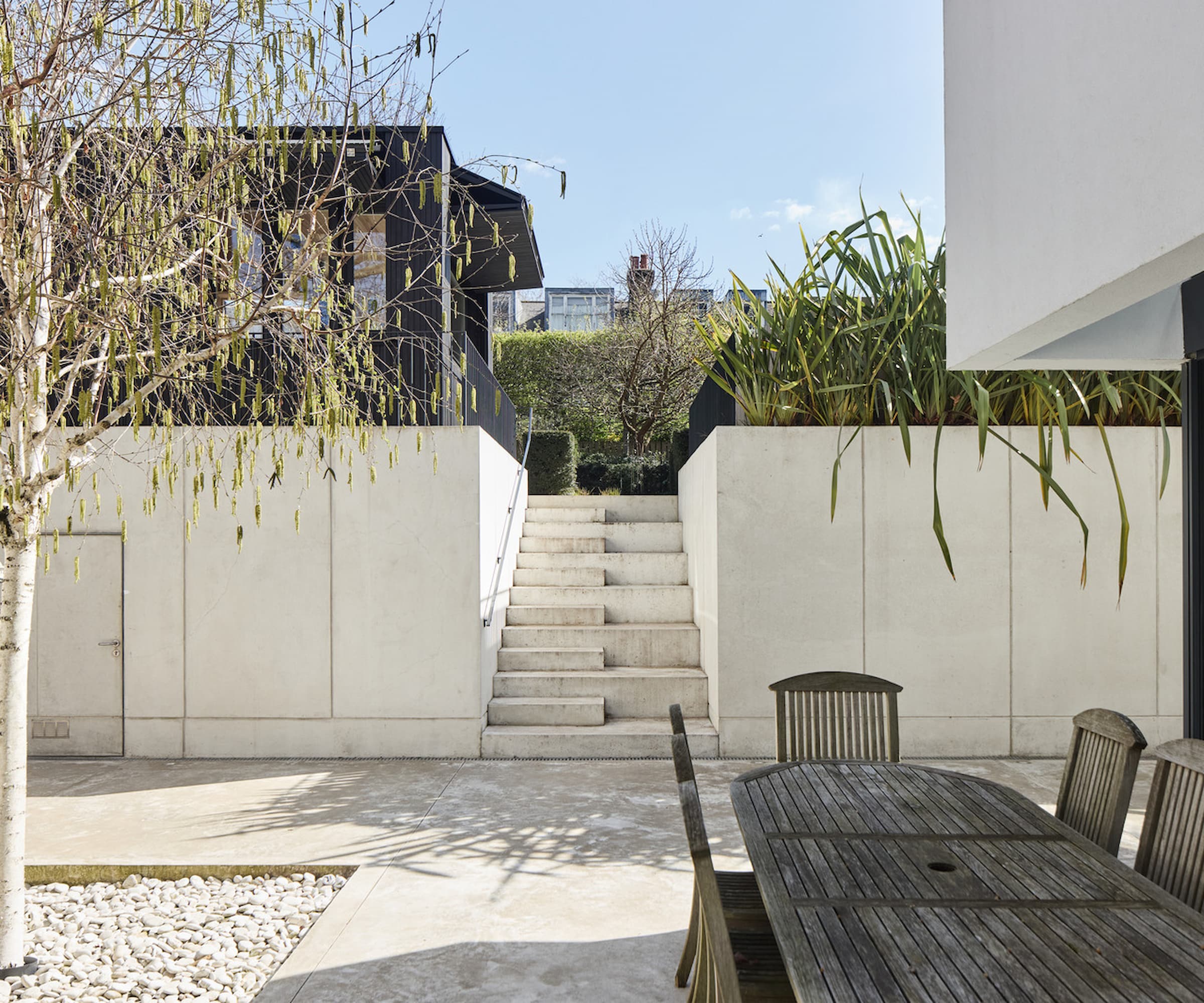 A sunken garden with concrete slabs and a silver birch tree surrounded by gravel
