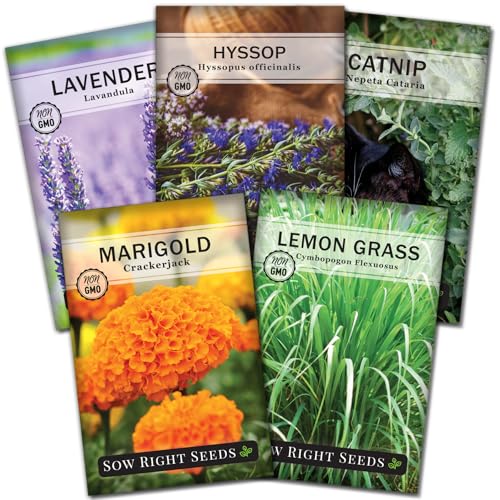 Sow Right Seeds - Insect &amp;amp; Pest Repellent Seed Collection for Planting - Lavender, Catnip, Marigold, Hyssop &amp;amp; Lemon Grass - 5 Packets With Instructions for Home Garden - Natural Pest Solution