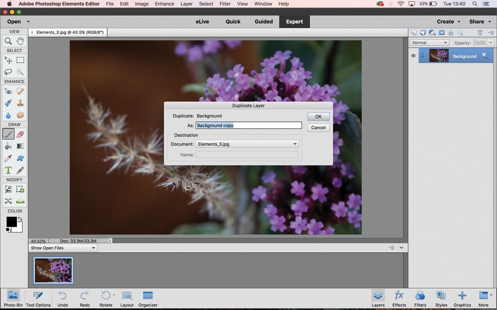 How to create a soft focus effect in Elements Digital