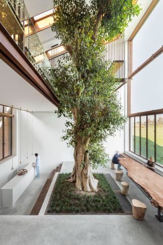 Mr Mutti's house with the tree, called Greenary and designed by Carlo Ratti