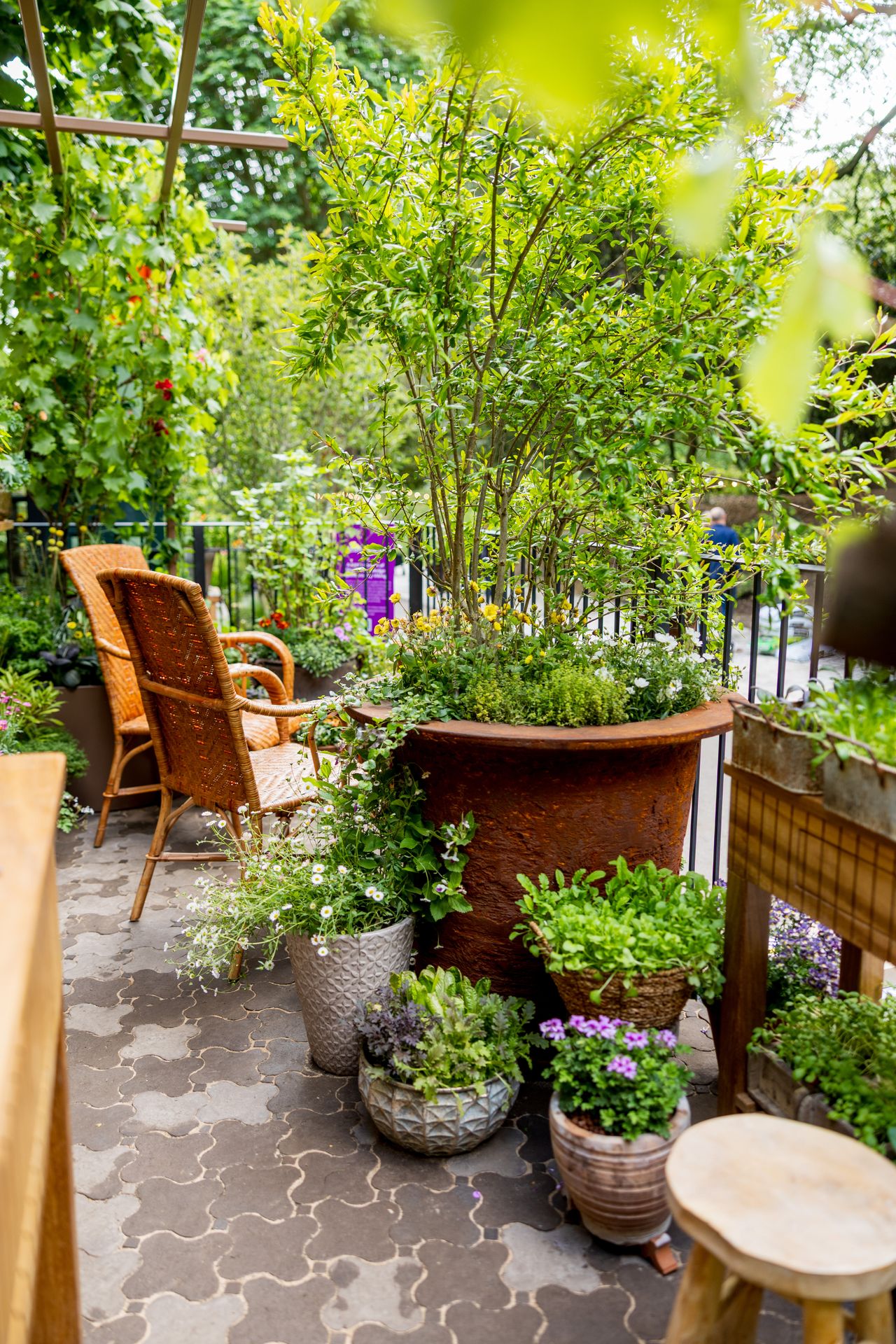 Images and close ups of the balcony garden by Viking, titled A Little Garden of Shared Knowledge.