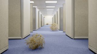 Tumbleweed in the hallway