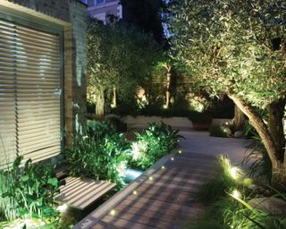 A modern front yard with mature trees and accent lighting