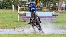 EMILIE-CHANDLER-RIDING-GORTFADDA-DIAMOND.jpg
