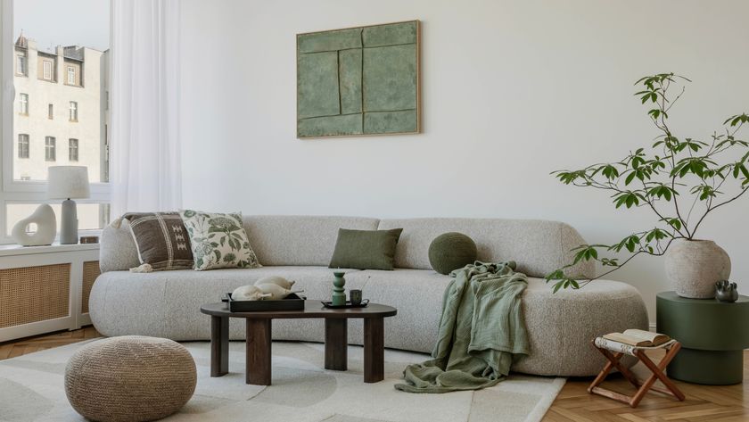 Grey curved sofa in cozy living room 