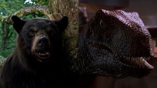 Cocaine Bear and a Velociraptor from Jurassic Park, pictured side by side.