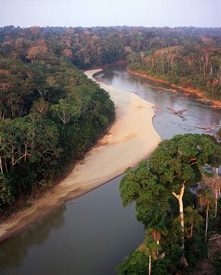 Forests along the Los Amigos River in southeastern Peru.