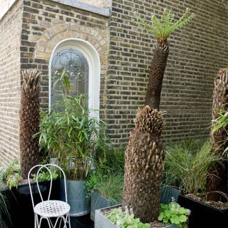 bricked house with unwrap tree ferns