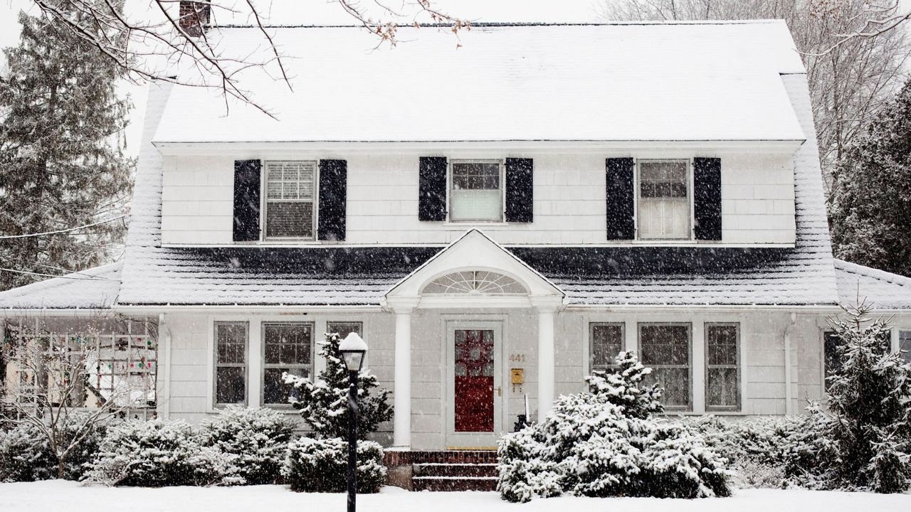 A white painted house surrounded by plants, everything covered in snow