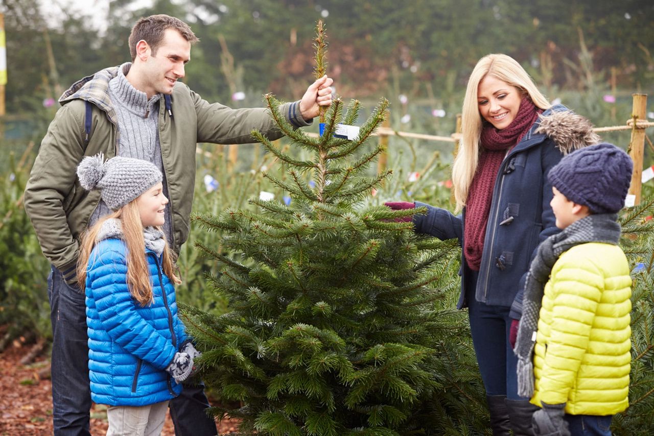 Family Picking Out A Christmas Tree