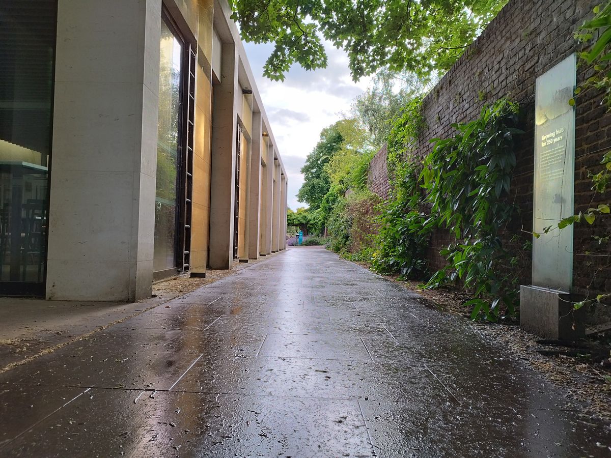 Photo taken on Redmi Note 11 Pro 5G