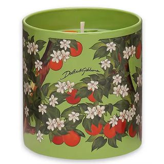 Dolce & Gabbana Wild Jasmine Scented Candle