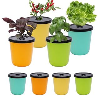 Kiicii Kratky Method Hydroponic Planter Kit, 8 Hydroponic Planter Plus 24 Growing Sponges for Herbs, Hydroponic Mini Buckets for Windowsill Herb Garden, Hydroponic Growing System for Vegetables