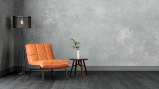 Living room with black wooden floor