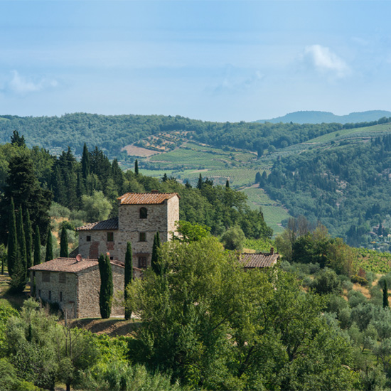 valley with green trees sloping roof houses and mountains