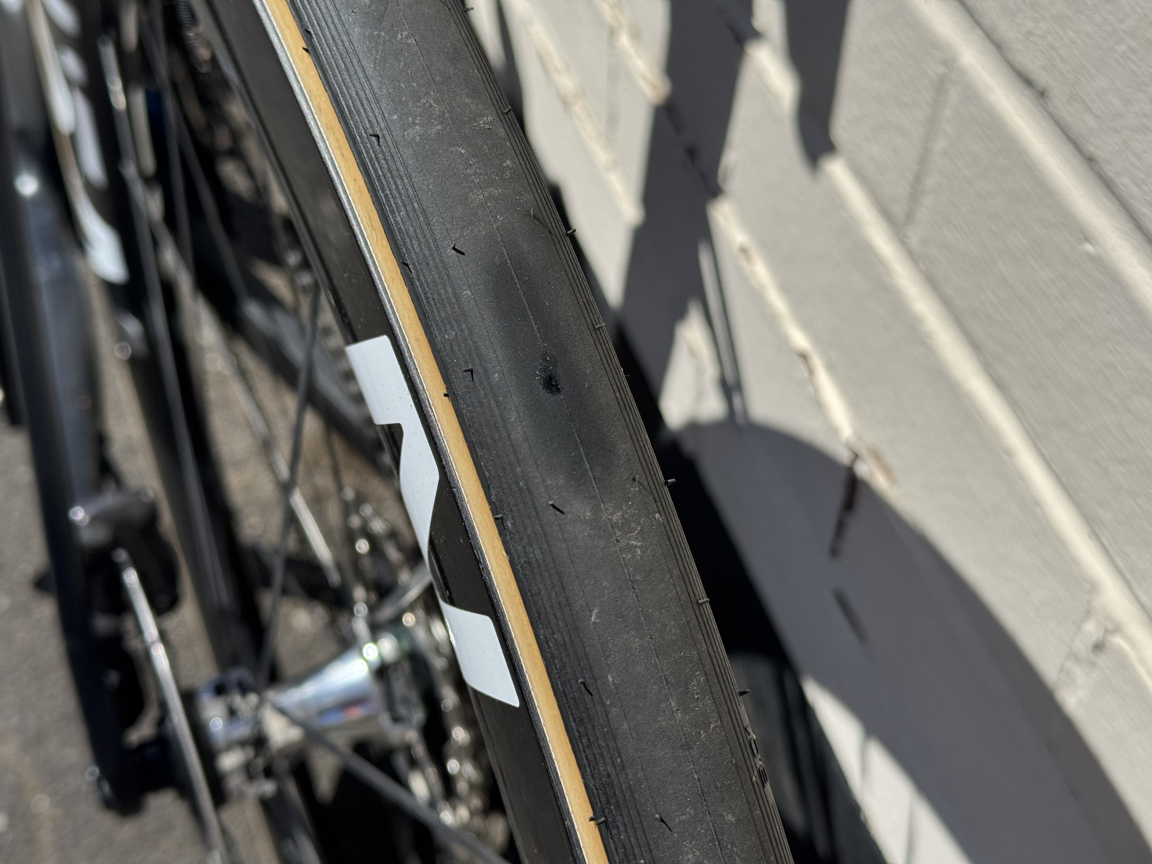Vittoria Corsa Pro Speed