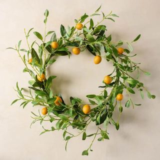 A citrus wreath on a plain background