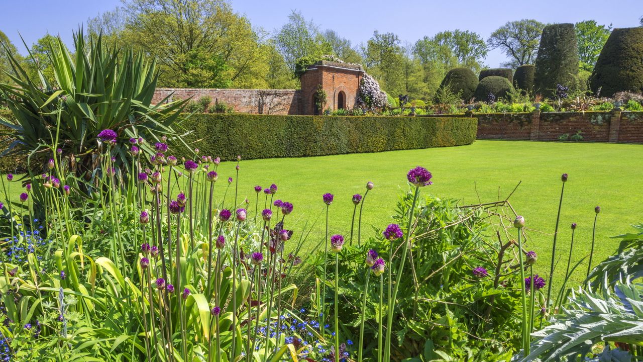 Modern cottage garden with planting borders, lawn and hedging