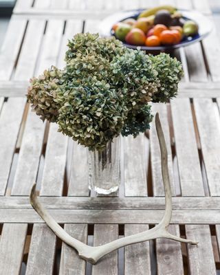 Dried hydrangeas in a glass on a wooden table with antler and fruit bowl