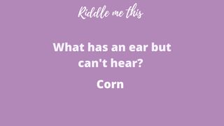 Riddles for kids illustrated with canva riddles