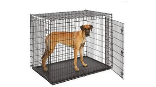 Midwest SL54DD Ginormus Double Door Large Dog Crate