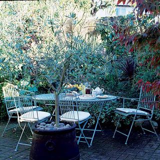 garden with table and chairs and trees