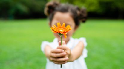 A small girl in a green field holds out a flower.