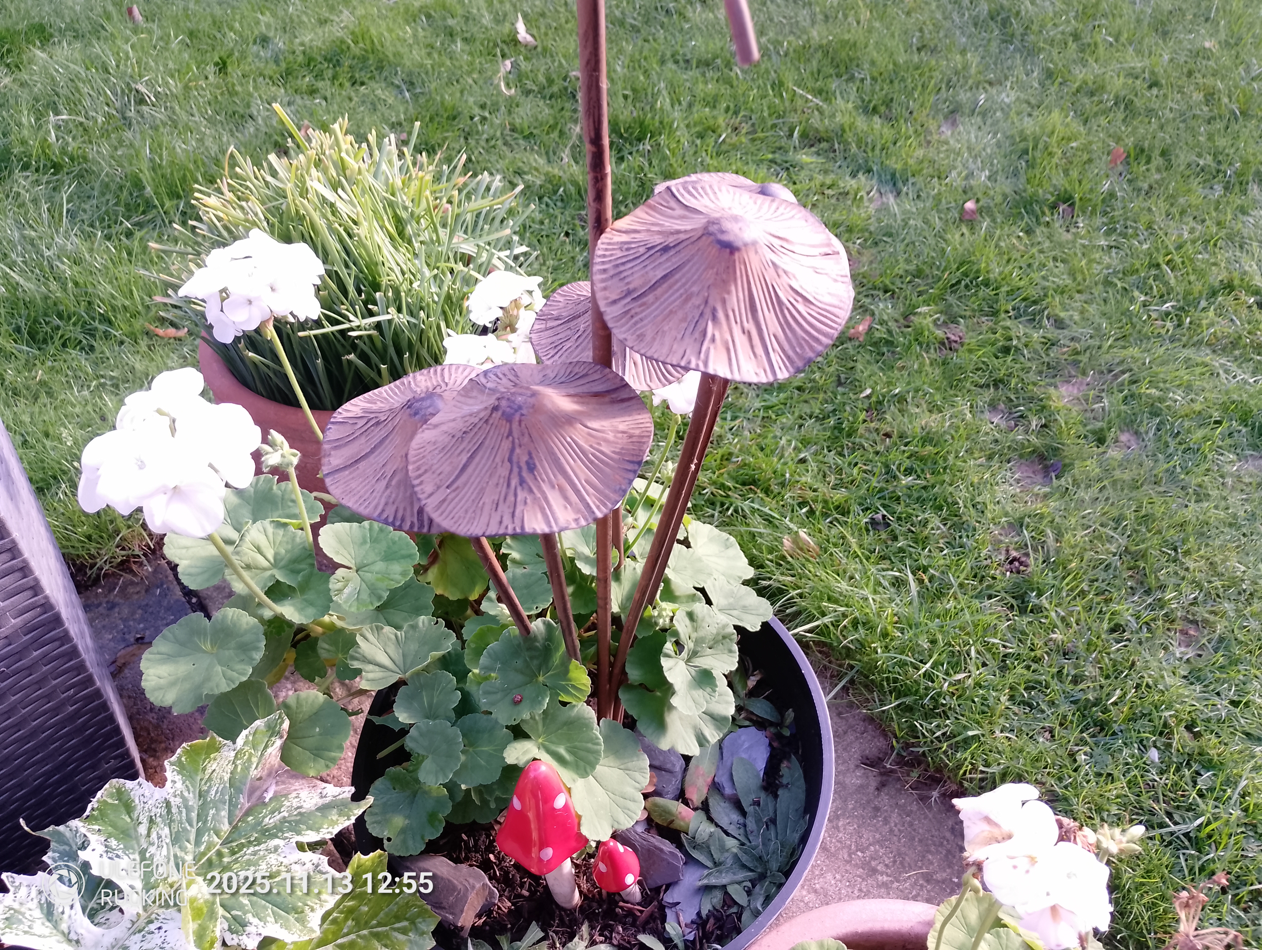 Ulefone Rugking camera examples