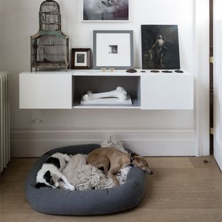 dog bed with grey colour and dogs