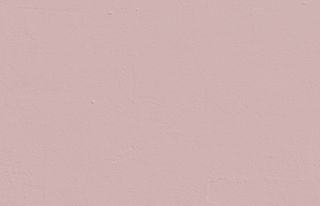 Pink 05: Dusty Blush Pink Paint - Matt Interior Paint